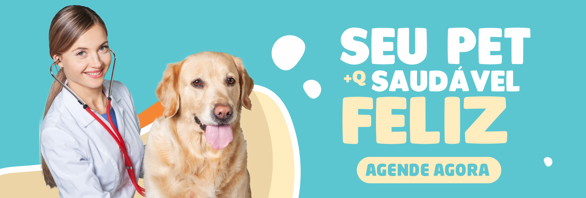 novapassaredo_banner_1