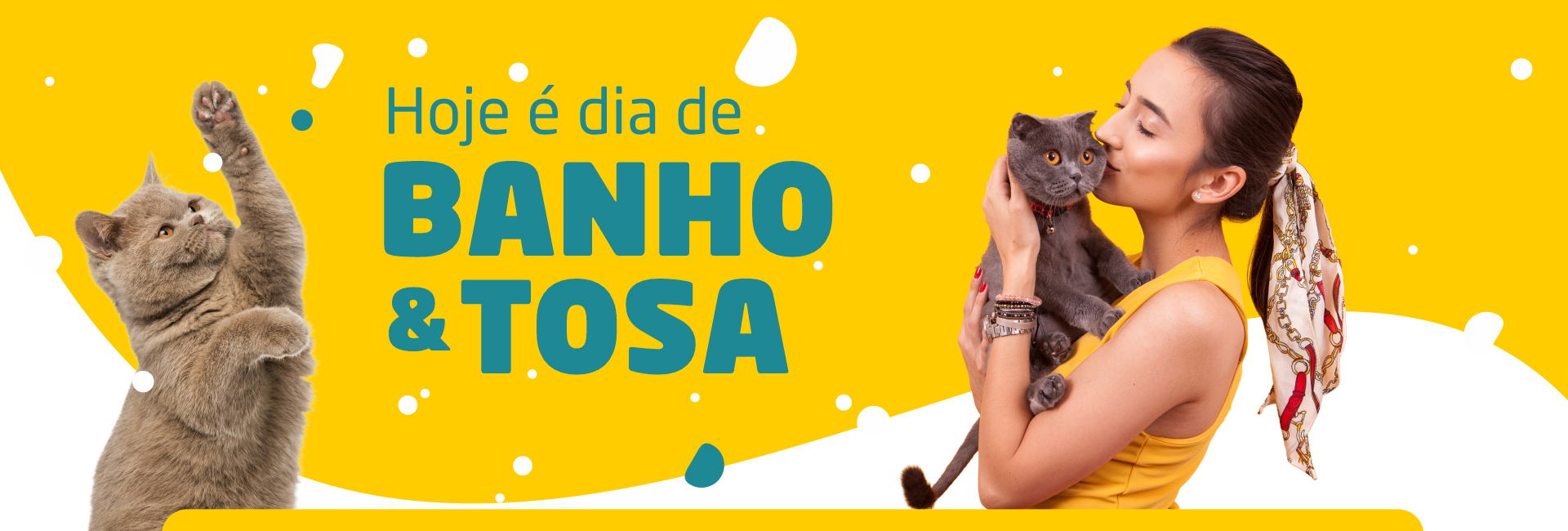 novapassaredo_banner_2