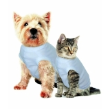 agendar consulta veterinária para gatos Presidente Altino