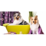 Banho e Tosa de Animais Banho e Tosa de Animais