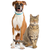 Cirurgia Ortopédica Veterinária Cirurgia Ortopédica Veterinária