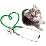 clínica de exame laboratorial em pequenos animais Santa Fé clínica de exame laboratorial em pequenos animais Santa Fé