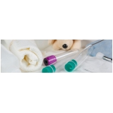 clínica de exames laboratoriais para animais domésticos Raposo Tavares clínica de exames laboratoriais para animais domésticos Raposo Tavares