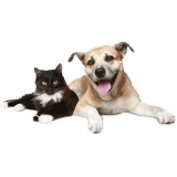 clínica para vacinação em animais de companhia Centro clínica para vacinação em animais de companhia Centro