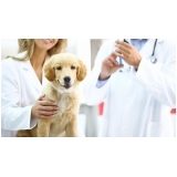 clínica para vacinas em animais de estimação Rochdale clínica para vacinas em animais de estimação Rochdale