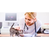 clínica veterinária para animais domésticos Centro clínica veterinária para animais domésticos Centro