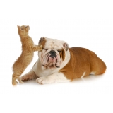 clínica veterinária popular Quitaúna