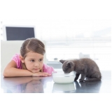 Clínica Veterinária para Animais Domésticos