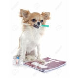 consultas médico veterinário Jardim D'Abril