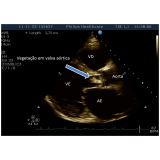 ecocardiograma veterinário Continental ecocardiograma veterinário Continental