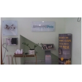 hospital veterinário popular Cidade de Deus hospital veterinário popular Cidade de Deus