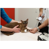 onde acho veterinário laboratório Quitaúna onde acho veterinário laboratório Quitaúna