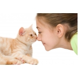 onde tem clínica veterinária especializada Vila Osasco onde tem clínica veterinária especializada Vila Osasco