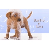 Banho e Tosa