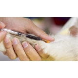 Laboratório Veterinário