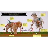 Vacina Giardíase Canina Vacina Giardíase Canina