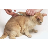 Vacinas para Animais Vacinas para Animais